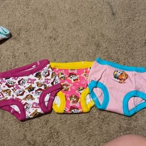 Paw patrol training underwear (NEVER WORN)